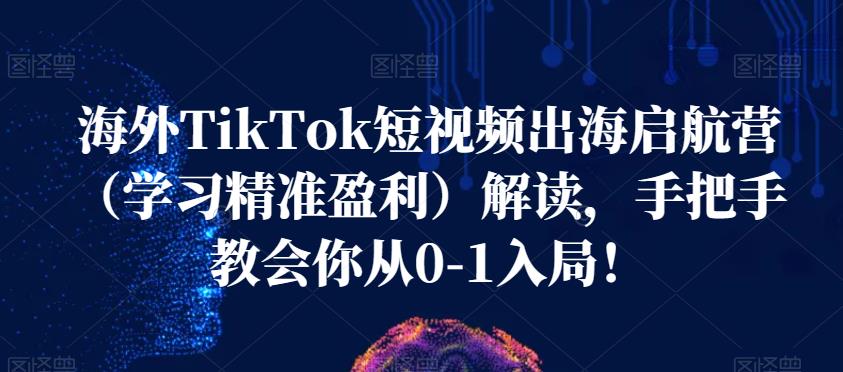 海外TikTok短视频出海启航营（学习精准盈利）解读，手把手教会你从0-1入局！-赛德副业库