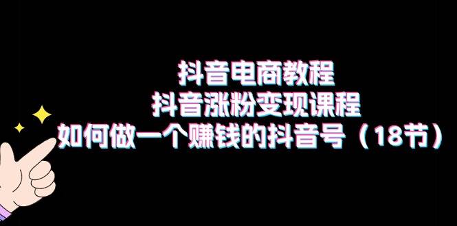 （11436期）抖音电商教程：抖音涨粉变现课程：如何做一个赚钱的抖音号（18节）-赛德副业库
