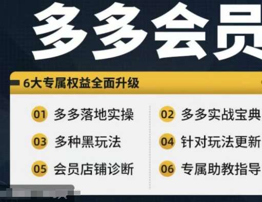 拼多多会员，拼多多实战宝典+实战落地实操，从新手到高阶内容全面覆盖-赛德副业库