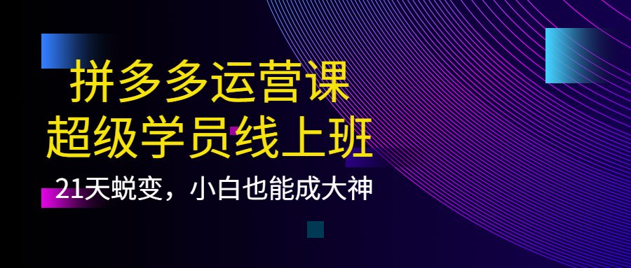 拼多多运营课：超级学员线上班，21天蜕变，小白也能成大神-赛德副业库