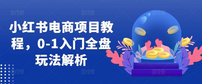 小红书电商项目教程，0-1入门全盘玩法解析-赛德副业库