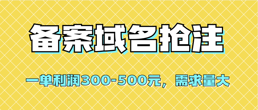 【全网首发】备案域名抢注,一单利润300-500元,需求量大-赛德副业库