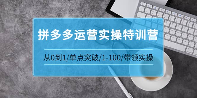 拼多多运营实操特训营：从0到1/单点突破/1-100/带领实操 价值2980元-赛德副业库