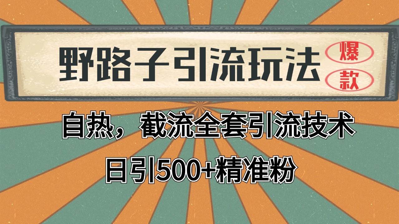 抖音小红书视频号全平台引流打法，全自动引流日引2000+精准客户-赛德副业库