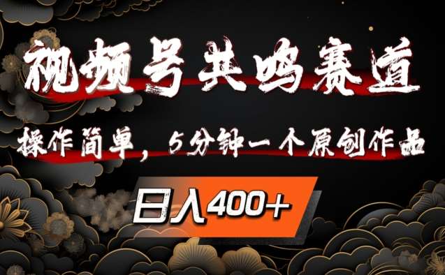 视频号共鸣赛道，操作简单，5分钟1个原创作品，日入几张【揭秘】-赛德副业库