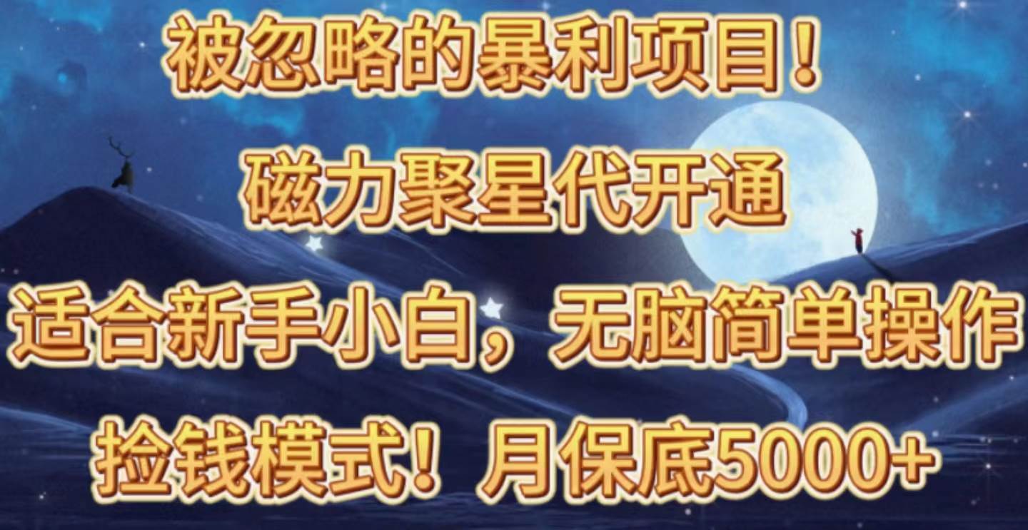 （10245期）被忽略的暴利项目！磁力聚星代开通捡钱模式，轻松月入五六千-赛德副业库