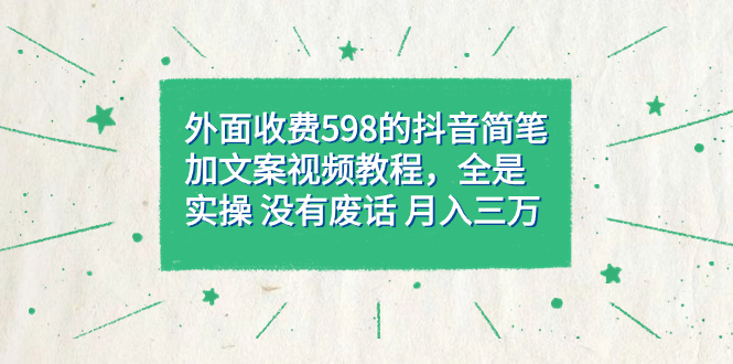 外面收费598抖音简笔加文案教程，全是实操 没有废话 月入三万（教程+资料）-赛德副业库