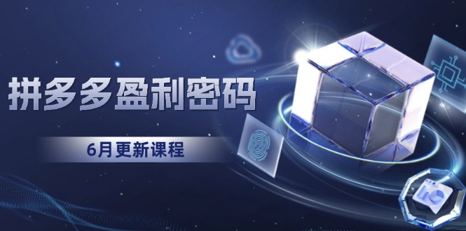 (15005期)拼多多盈利密码:从烧钱推广到印钞模型,底层逻辑重构指南(6月更新)-赛德副业库