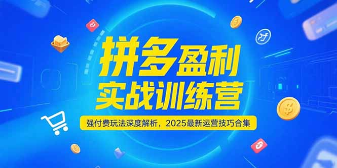 （15183期）拼多多盈利实战训练营，强付费玩法深度解析，2025运营技巧合集-更新6月-赛德副业库