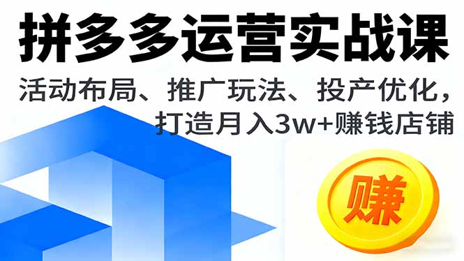 （16135期）拼多多运营实战课，活动布局、推广玩法、投产优化，打造月入3w+赚钱店铺-赛德副业库