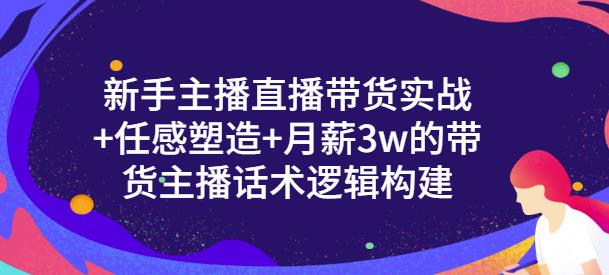 新手主播直播带货实战+信任感塑造+月薪3w的带货主播话术逻辑构建-赛德副业库