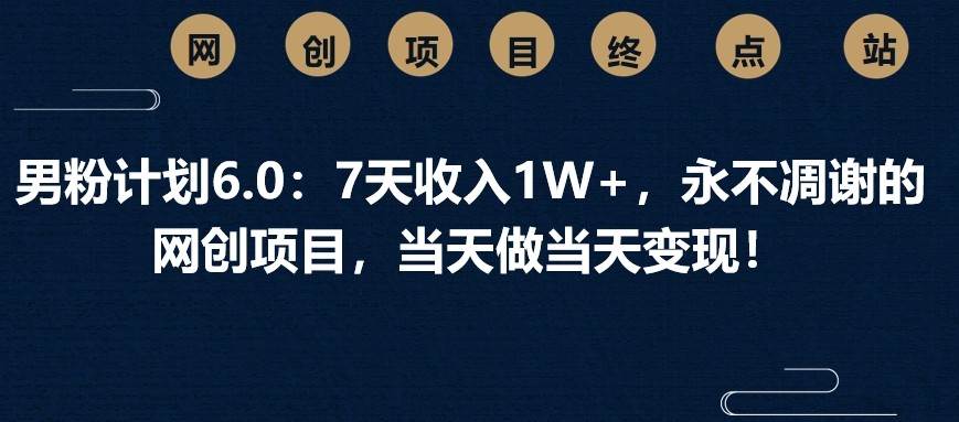 男粉计划6.0:7天收入1W+,永不凋谢的网创项目,当天做当天变现!-赛德副业库