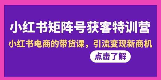 小红书矩阵号获客特训营-第10期，小红书电商的带货课，引流变现新商机-赛德副业库
