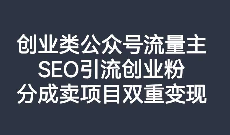 创业类公众号流量主，SEO引流创业粉，分成卖项目双重变现【揭秘】-赛德副业库
