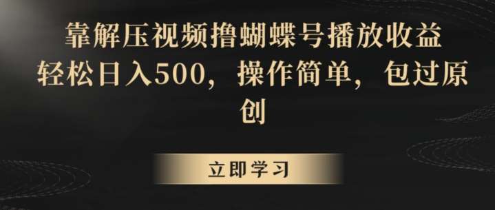 靠解压视频撸蝴蝶号播放收益，轻松日入500，操作简单，包过原创【揭秘】-赛德副业库