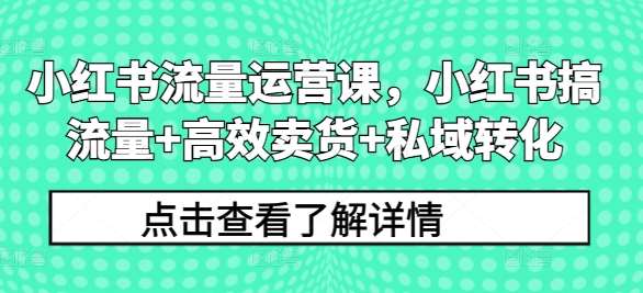 小红书流量运营课，小红书搞流量+高效卖货+私域转化-赛德副业库
