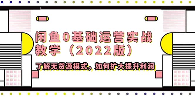 闲鱼0基础运营实战教学（2022版）了解无货源模式，如何扩大提升利润-赛德副业库