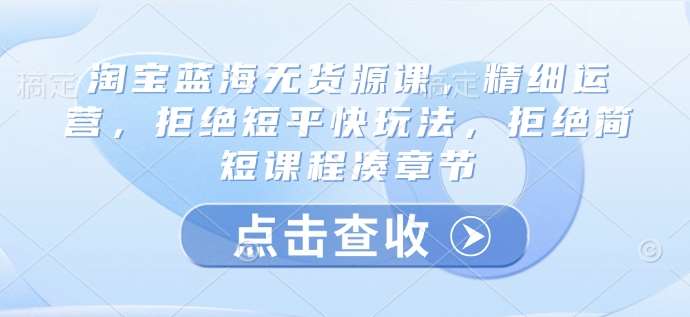 淘宝蓝海无货源课，精细运营，拒绝短平快玩法，拒绝简短课程凑章节-赛德副业库