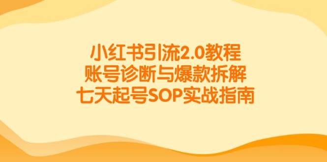 小红书引流2.0教程，账号诊断与爆款拆解，七天起号SOP实战指南-赛德副业库