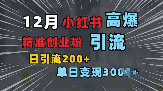 小红书一张图片“引爆”创业粉，单日+200+精准创业粉 可筛选付费意识创业粉【揭秘】-赛德副业库
