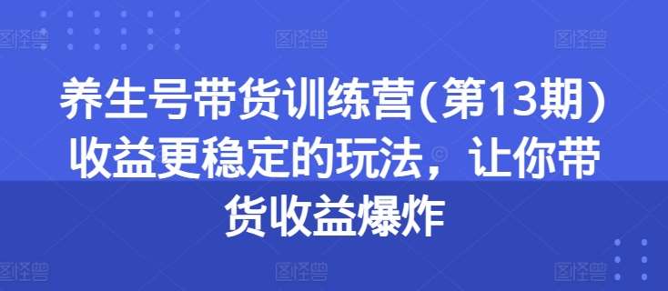 养生号带货训练营(第13期)收益更稳定的玩法，让你带货收益爆炸-赛德副业库