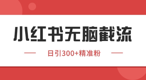 小红书截流同行客源,独家野路子获客玩法 日引200+暴力获客【揭秘】-赛德副业库