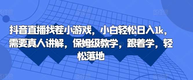 抖音直播找茬小游戏，小白轻松日入1k，需要真人讲解，保姆级教学，跟着学，轻松落地【揭秘】-赛德副业库