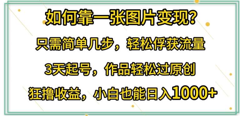 如何靠一张图片变现?只需简单几步，轻松俘获流量，3天起号，作品轻松过原创【揭秘】-赛德副业库