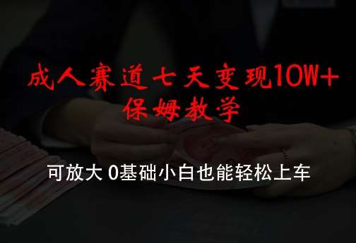 成人赛道七天变现10W+保姆教学,可放大,0基础小白也能轻松上车【揭秘】-赛德副业库