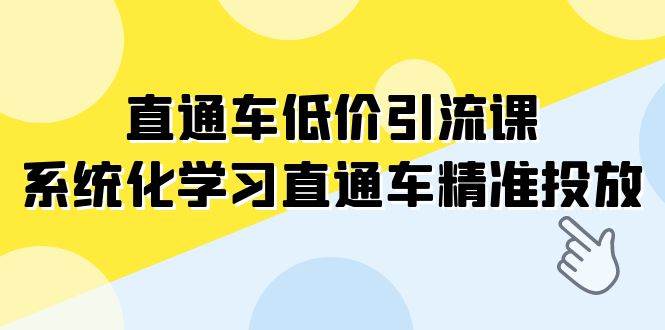 (7698期)直通车-低价引流课,系统化学习直通车精准投放(14节课)-赛德副业库