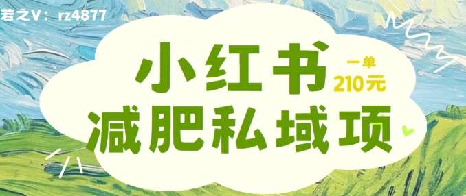 小红书减肥粉，私域变现项目，一单就达210元，小白也能轻松上手【揭秘】-赛德副业库