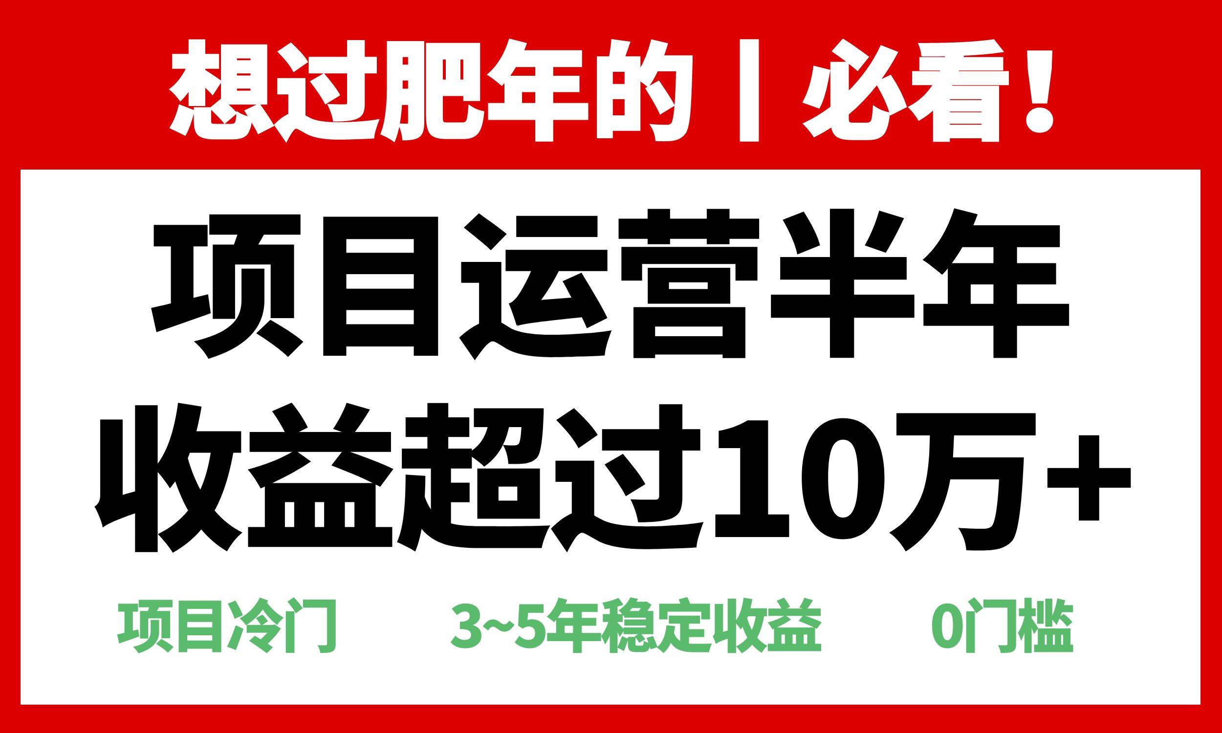 （13663期）年前过肥年的必看的超冷门项目，半年收益超过10万+，-赛德副业库