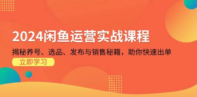 （13290期）2024闲鱼运营实战课程：揭秘养号、选品、发布与销售秘籍，助你快速出单-赛德副业库