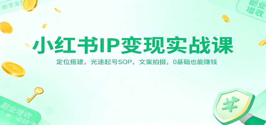 小红书IP变现实战课：定位搭建，光速起号SOP，文案拍摄，0基础也能赚钱-赛德副业库