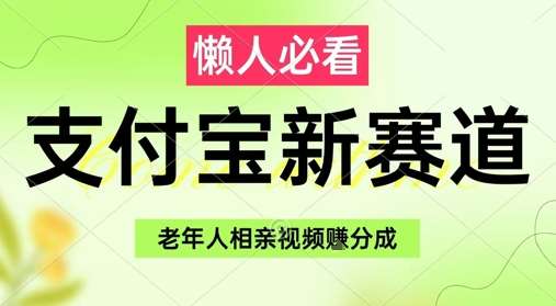 支付宝新赛道，利用老年人相亲视频，挣分成收益，轻松月入过W，操作简单-赛德副业库