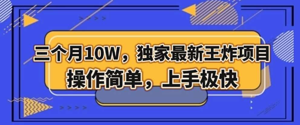 三个月10W，独家最新王炸项目！操作简单，上手极快【揭秘】-赛德副业库
