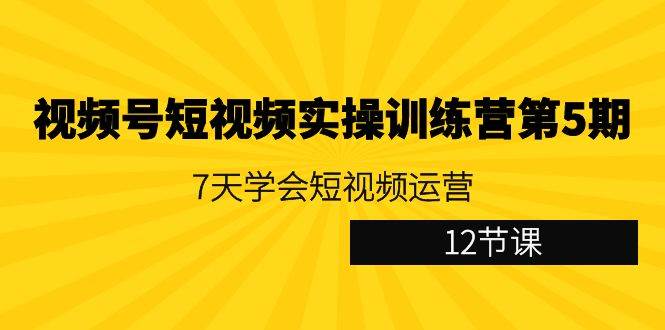 （9029期）视频号短视频实操训练营第5期：7天学会短视频运营（12节课）-赛德副业库