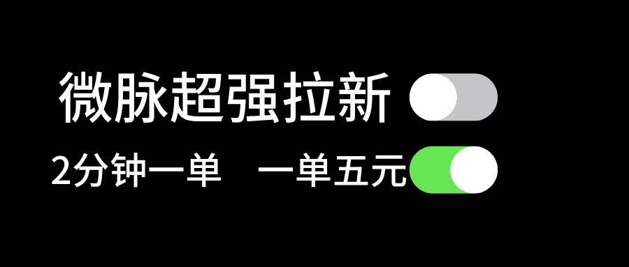 （11580期）微脉超强拉新， 两分钟1单， 一单利润5块，适合小白-赛德副业库