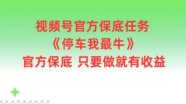 视频号官方保底任务,停车我最牛,官方保底只要做就有收益【揭秘】-赛德副业库