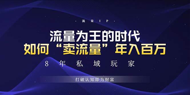 （13433期）未来如何通过“卖流量”年入百万，跨越一切周期绝对蓝海项目-赛德副业库