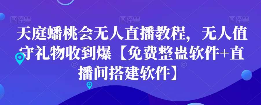天庭蟠桃会无人直播教程，无人值守礼物收到爆【免费整蛊软件+直播间搭建软件】-赛德副业库