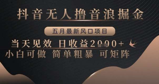 抖音无人撸音浪掘金，五月最新风口项目，当天见效，日收益多张，小白可做简单粗暴可矩阵【揭秘】-赛德副业库