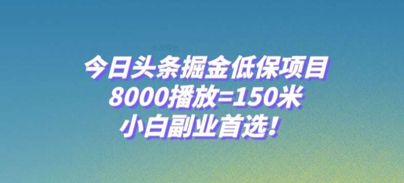 今日头条掘金低保项目，8000播放=150米，小白副业首选【揭秘】-赛德副业库