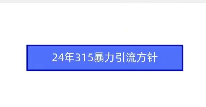 24年315暴力引流方针-赛德副业库