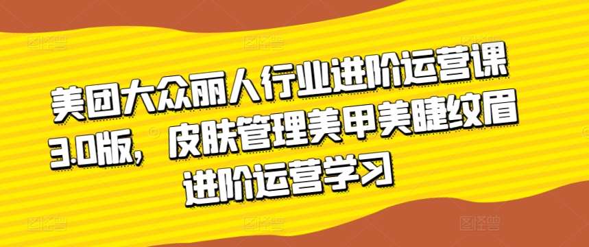 美团大众丽人行业进阶运营课3.0版，皮肤管理美甲美睫纹眉进阶运营学习-赛德副业库