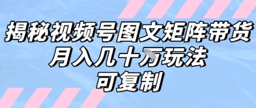 解密视频号图文矩阵带货，月入几个W的打法，可复制-赛德副业库