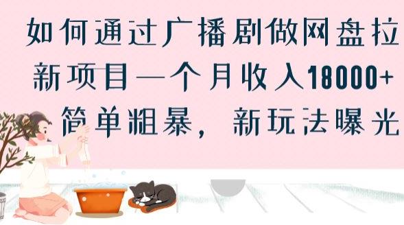 如何通过广播剧做网盘拉新项目一个月收入18000+,简单粗暴,新玩法曝光【揭秘】-赛德副业库