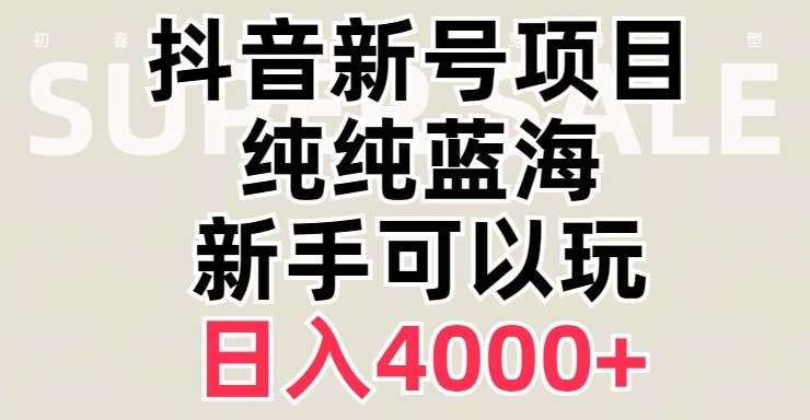 抖音蓝海赛道，必须是新账号，日入4000+【揭秘】-赛德副业库