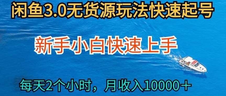 2024最新闲鱼无货源玩法，从0开始小白快手上手，每天2小时月收入过万【揭秘】-赛德副业库