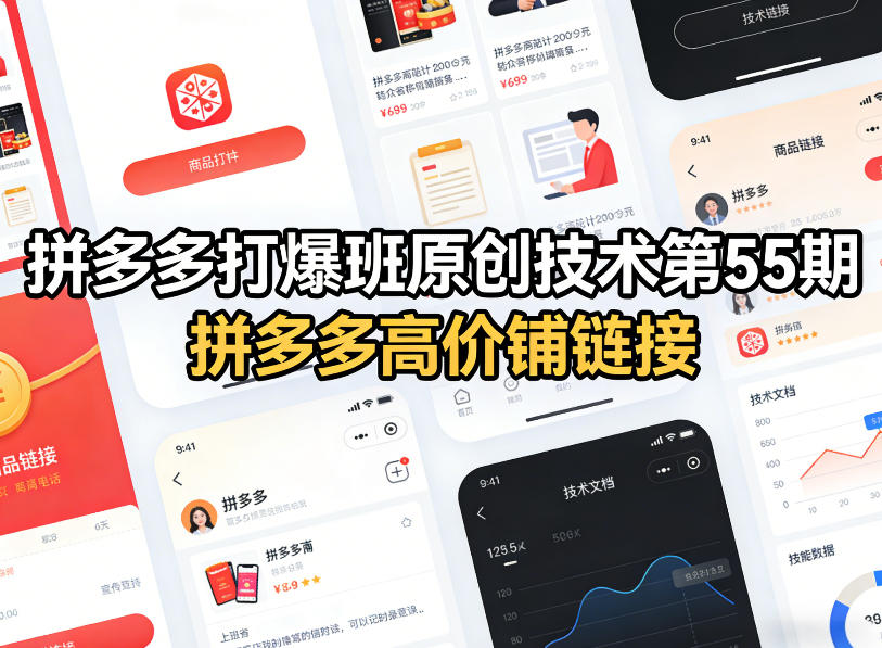 拼多多打爆班原创技术第55期，拼多多高价铺链接-赛德副业库